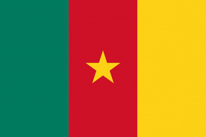 vlag van Kameroen
